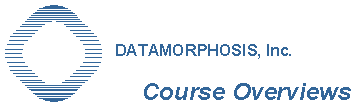 Datamorphosis logo for Course Overviews